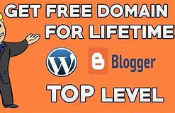 lifetime web hosting and domain